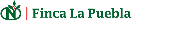 Finca Puebla, S.A. de CV