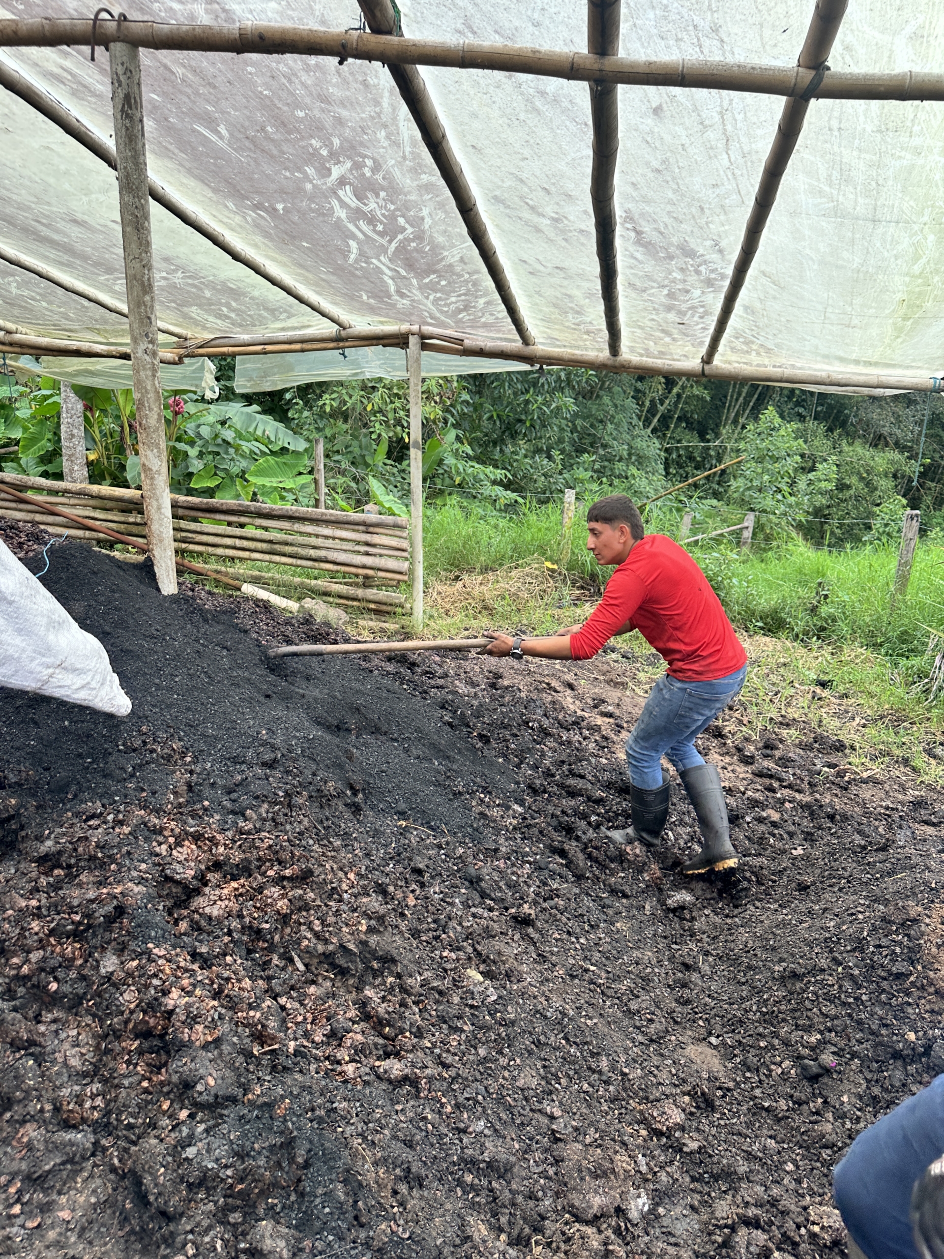 Biochar + pulp 01