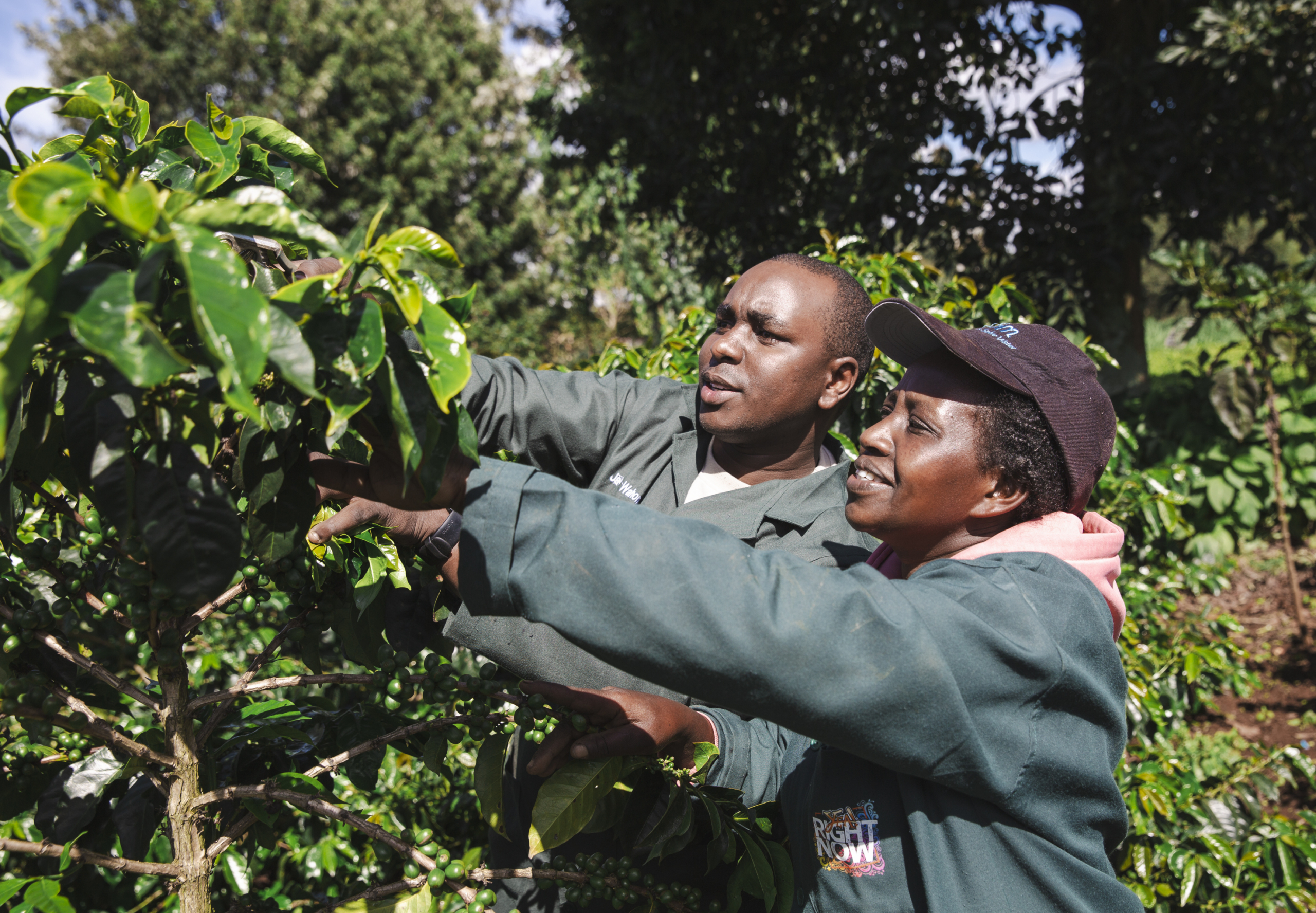 Farmers as buisness partners